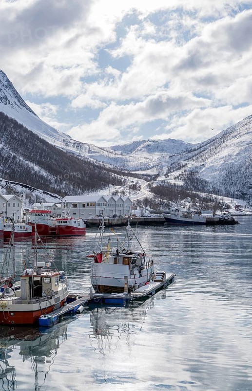 Scenic winter scene in a Norwegian harbor with fishing boats afloat. Snow-covered mountains frame the peaceful waters, reflecting the crisp, clear sky on a tranquil day
