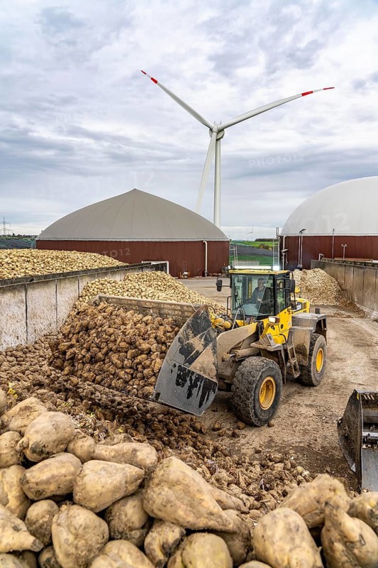 Biogas plant produces gas from various biomass, here the sugar beet storage, the electricity is produced in combined heat and power plants with the biogas produced and sold to companies in the neighbouring industrial estate, the heat generated is fed into a local heating network, gas storage and wind power plant, Ense, North Rhine-Westphalia, Germany