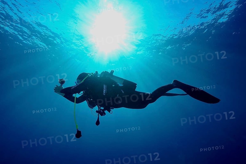 Silhouette of a female diver in the sea illuminated by bright sunlight through the water, Giens Peninsula dive site, Mediterranean Sea, Porquerolles, Provence, Côte d'Azur, France