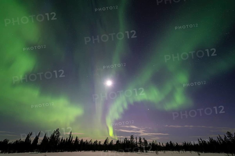 Northern Lights (Aurora borealis), Muddus National Park, Laponia World Heritage Site, Norrbotten, Lapland, Sweden, April 2025