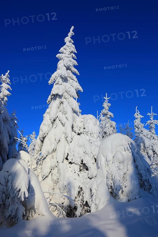 Winter landscape in the Fichtelgebirge, Bayreuth district, Upper Franconia, Bavaria, Germany