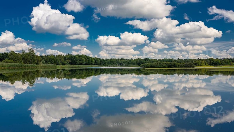Cumulus clouds over Ahlhorn fish ponds, Ahlhorn, Lower Saxony, Germany