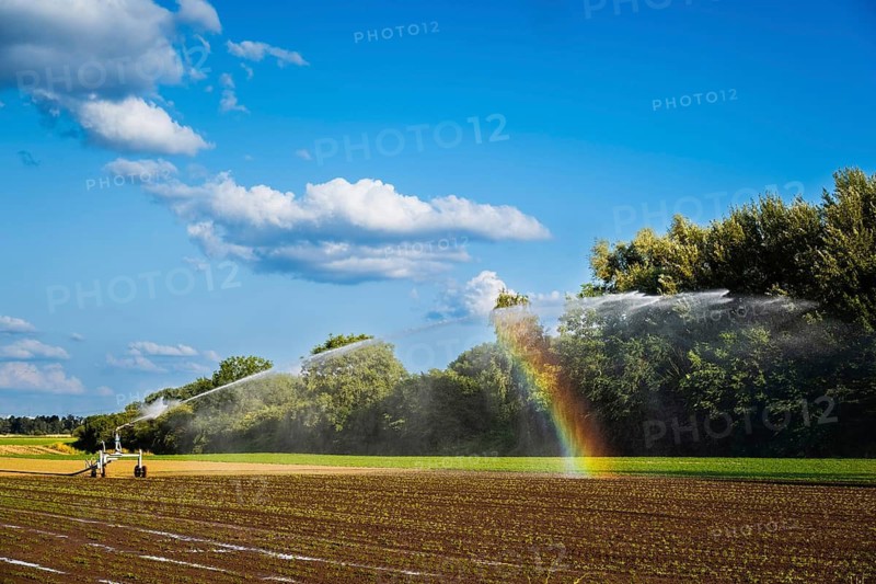 A rainbow forms on an irrigation system in a field in Düsseldorf, Germany
