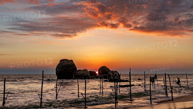 Sunset on the coast with wooden posts and soft clouds, The Stilt Fishermen's Beach near Koggala in Sri Lanka