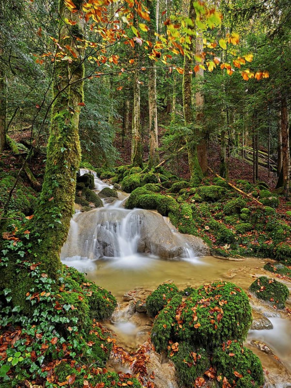 Waterfall surrounded by moss-covered stones in autumnal coloured surroundings, on the river Sihl, Sihlsprung, Menzingen, Canton Zug, Switzerland
