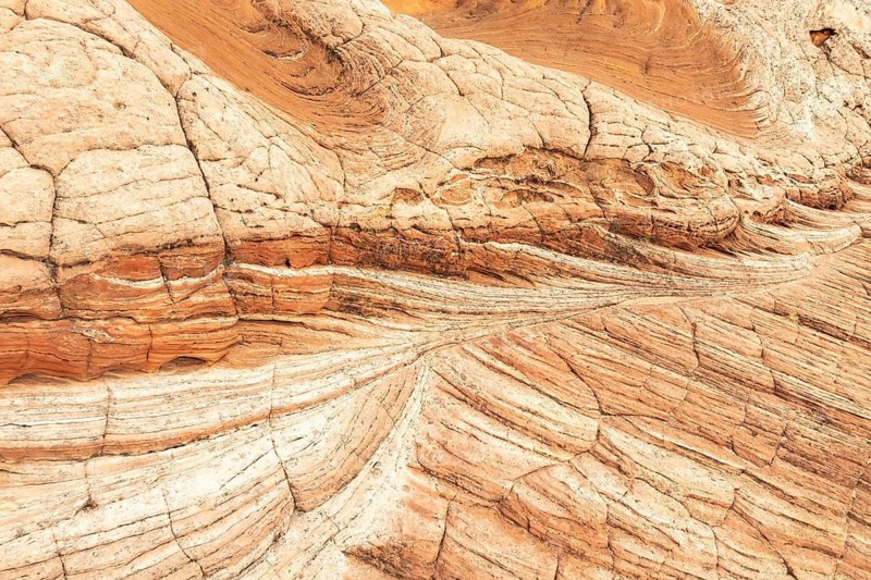 A captivating close-up of textured red desert rock formations. The image showcases intricate layers and warm hues, revealing the desert's natural beauty and geological history