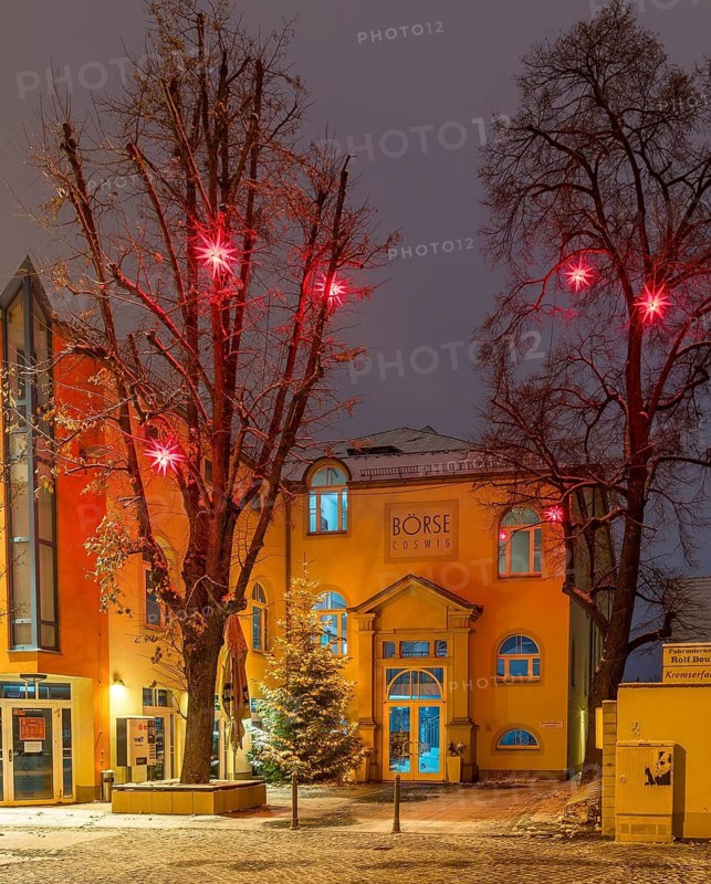 Star trees in front of the stock exchange at dusk, slightly snow-covered, Coswig, Saxony, Germany