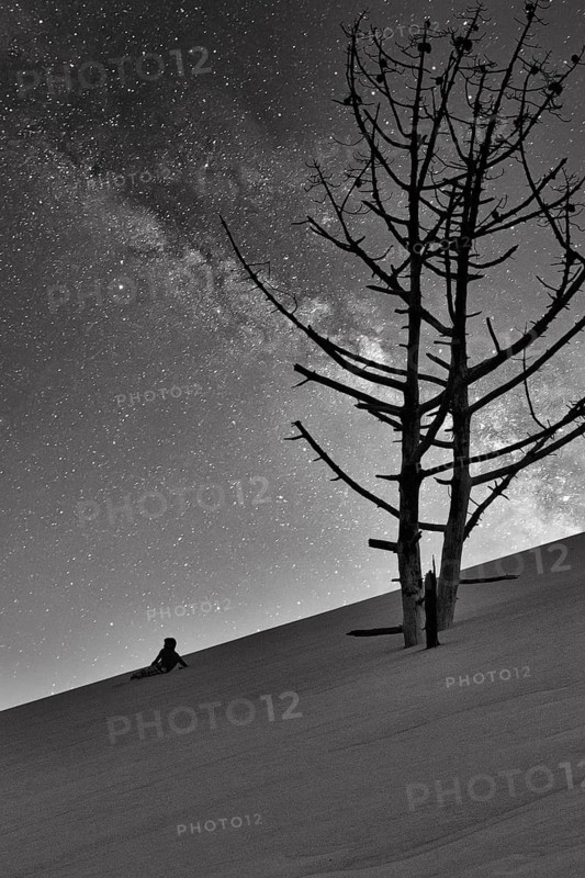 Dry dead pine (Pinus) in the evening, single person, child lying on shifting sand dune, starry sky, view from below, backlight, monochrome, symbolic image, Dune du Pilat, Dune near Arcachon, Gironde, Aquitaine, South of France, France