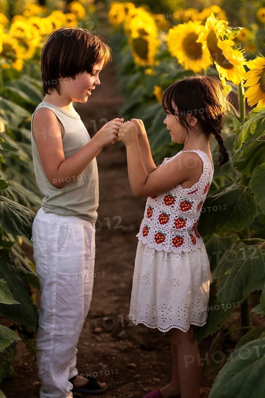 Two children share a joyful moment holding hands in a sunflower field. The golden sunset casts a warm glow, creating a serene, vibrant scene of friendship and nature