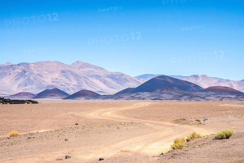 A dirt road meanders through the arid, expansive terrain of La Puna in Argentina, showcasing distant mountains under a clear blue sky