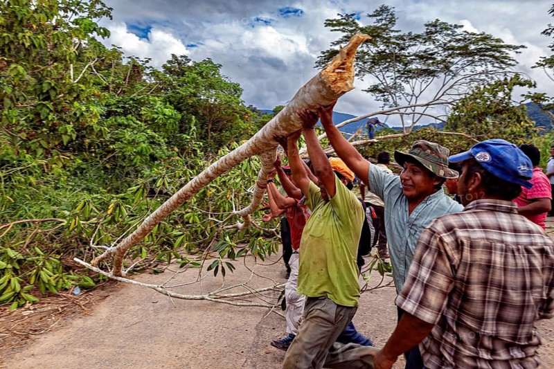 Men work together to remove a log from a road, blocked Yungas Strait and demonstration in the rainforest of Bolivia