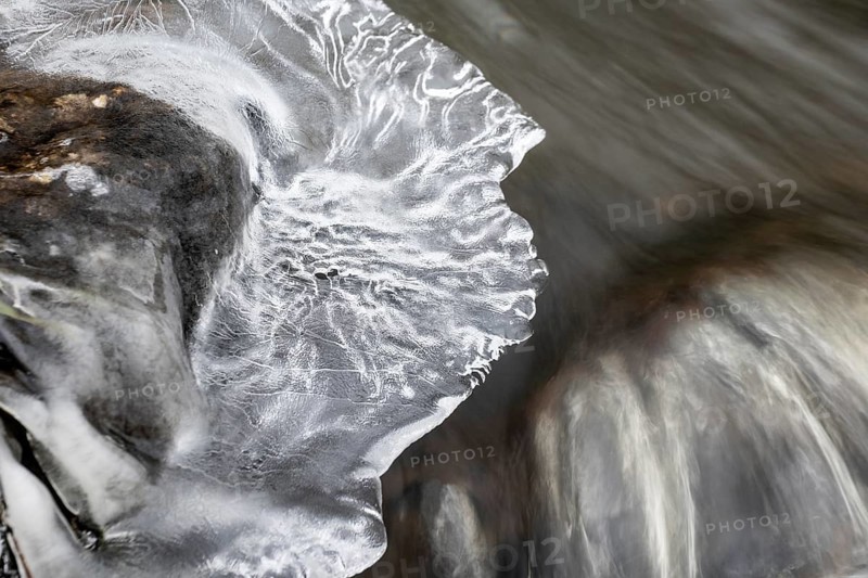 Natural ice sculptures on a stream, Emsland, Lower Saxony, Germany