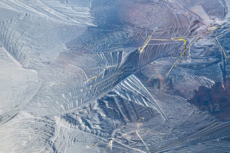 Abstract ice structures and reed stalks, Norrbotten, Lapland, Sweden, September 2024