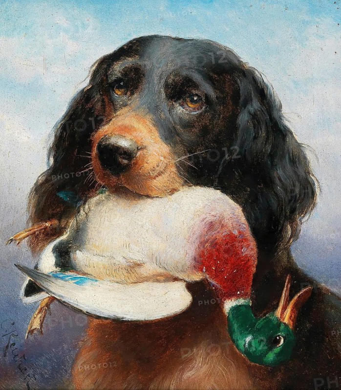 Carl Reichert, Karl Reichert, pseudonym J. Hartung (born 27 August 1836 in Vienna, died 5 April 1918 in Graz) . Austrian painter, especially landscape painter and animal painter. Here his work:, Gordon Setter with Mallard Duck, Hunting dog of the Gordon Setter breed retrieving a mallard duck, Painting, Reproduction of the painting, Work of art, Historical