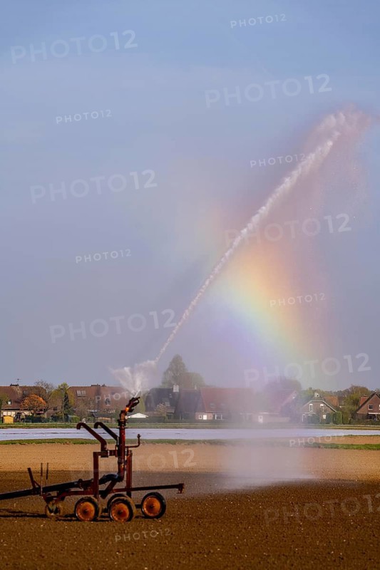 Artificial irrigation of a field, freshly sown, in April, with a sprinkler system, long dry spell in spring makes this necessary for the young plants to grow well, near Kerken, Lower Rhine, North Rhine-Westphalia, Germany