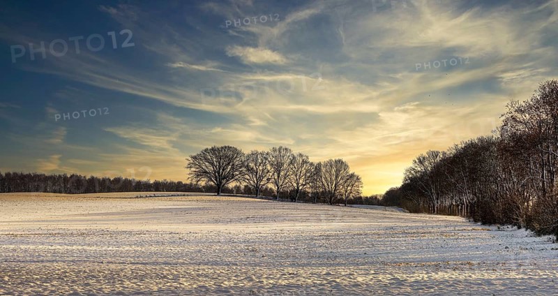 Winter landscape, fields and fields in Berlin Lübars, a village in Berlin Reinickendorf, Germany