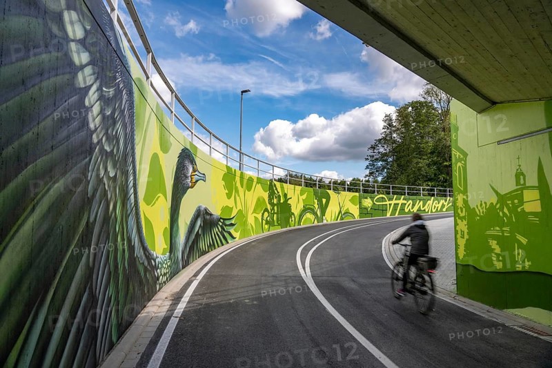 New bicycle tunnel at the junction of the B51 and Warendorfer Straße, in Münster, a bicycle and pedestrian tunnel, 150 metres long, 5.50 metres wide, crosses under the busy roads so that cyclists and pedestrians can pass without crossing, route to and from Münster city centre, visually designed with local motifs as murals, by Lackaffen.de, modern bicycle infrastructure, North Rhine-Westphalia, Germany
