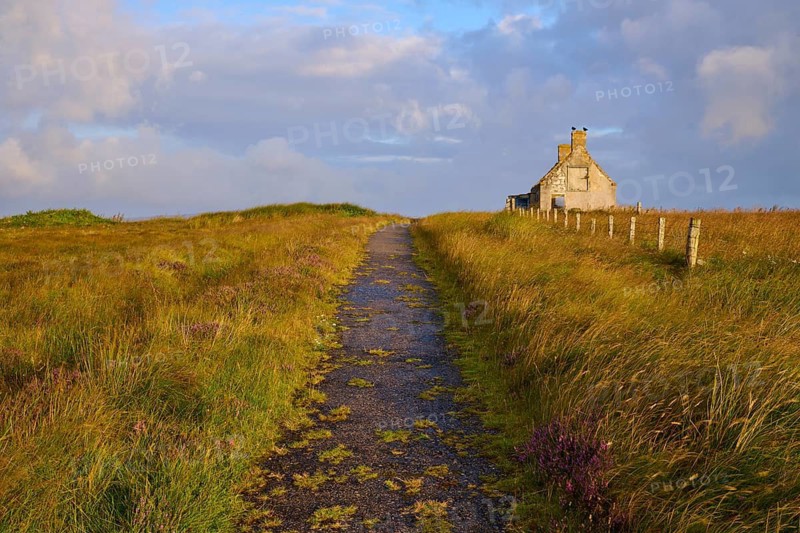 A narrow path runs through a vast meadow and leads to a single stone house under a cloudy sky, Moine House, Moine Track, Lairg, Scotland, United Kingdom, Great Britain