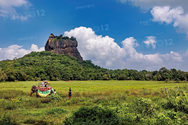 An impressive rock rises above a green plain as travelers travel on an elephant, The Lion Rock near Sigiriya in Sri Lanka