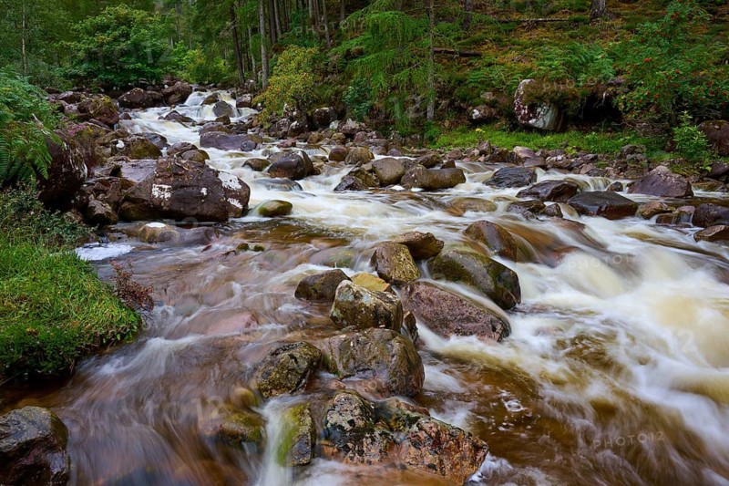 River with strong current flows over rocks in woodland, Scotland, United Kingdom, Great Britain