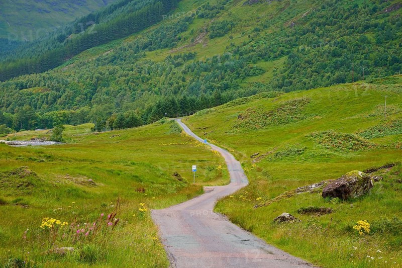 Narrow road through green rolling terrain surrounded by nature and mountains, Loch Etive, Argyll and Bute, Scotland, United Kingdom, Great Britain