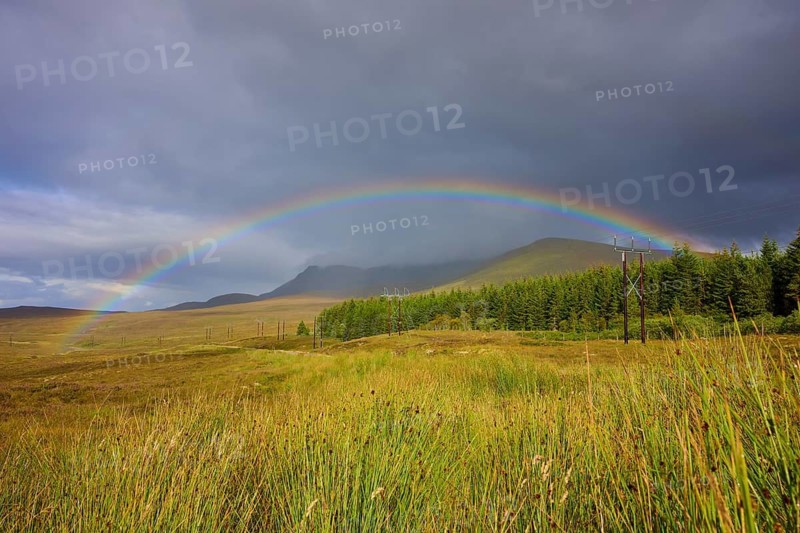 A rainbow over green landscape with forest under a cloudy sky in a tranquil setting, Lairg, Scotland, United Kingdom, United Kingdom