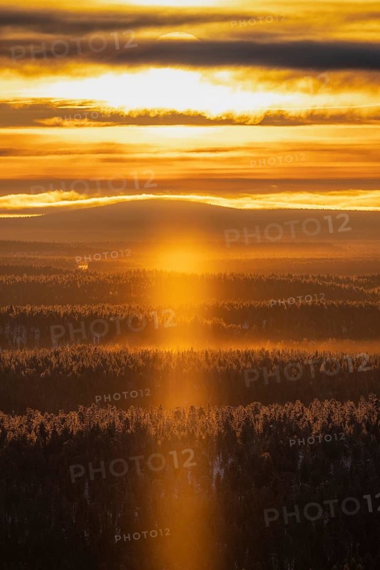 Ice crystals in backlight (light phenomenon) over a wide forest area, Saariselkä, Lapland, Finland, January 2025