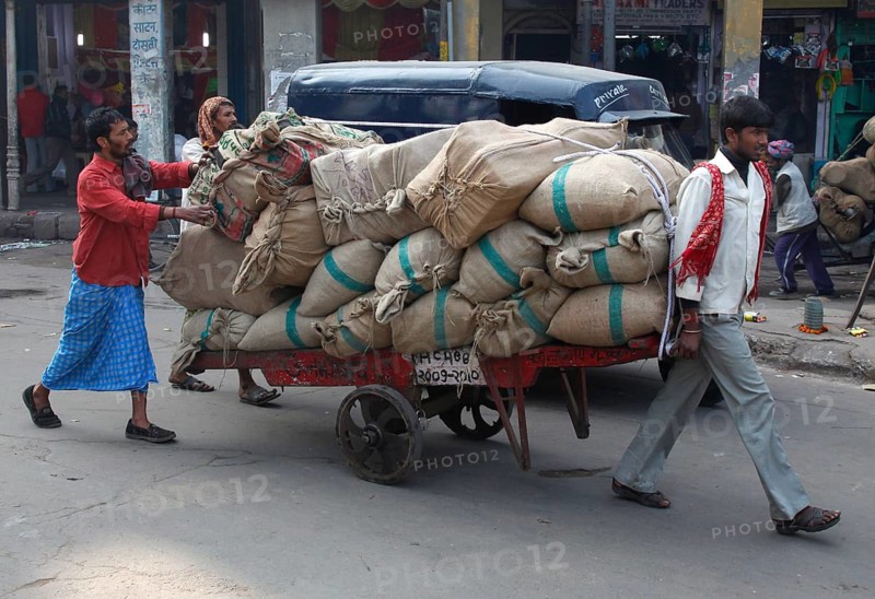 New Delhi, India, 14.01.10, Two men push a trailer loaded with bags