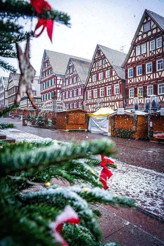 Christmas tree with decorations in front of a snow-covered half-timbered house at a market, Black Forest, Calw, Germany