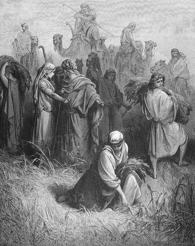 Ruth among the reapers in the cornfield, Boaz came from Bethlehem and greeted the farm workers, book of Ruth, chapter 2, verse 4-5, Bible, Old Testament, story, young woman, camels, rider, historical illustration based on Gustave Doré around 1880