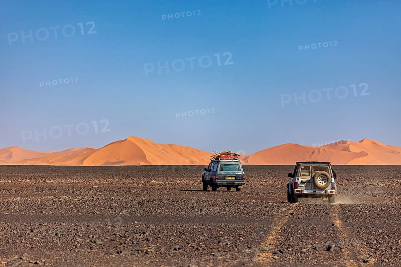 Two off-road vehicles driving in a wide desert landscape with visible sand dunes, Off-road vehicles driving through the dry desert, a tree in the foreground, By off-road vehicle through the Sahara desert in Algeria