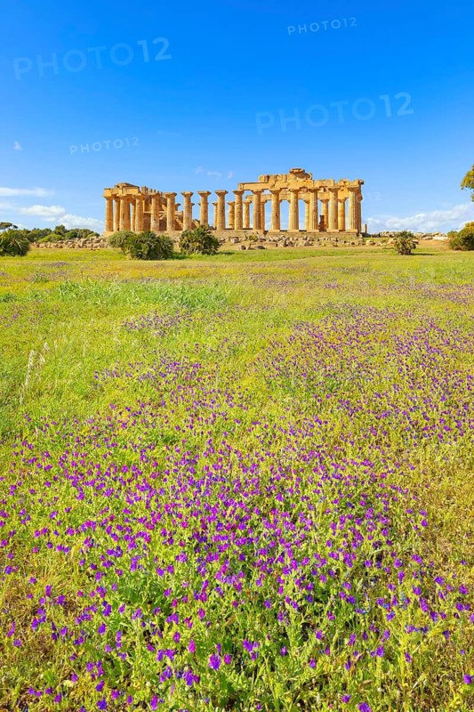 Temple of Hera or Temple E, Selinunte Archaeological Park, Selinunte, Trapani district, Sicily, Italy