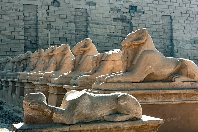 At the entrance to Karnak Temple the Avenue of Sphinxes, statues with the head of a Ram and the body of a Lion, ancient Egyptian icons and symbols to the Gods dating from the 30th Dynasty. Ancient Egyptian archaeology in Luxor, Egypt