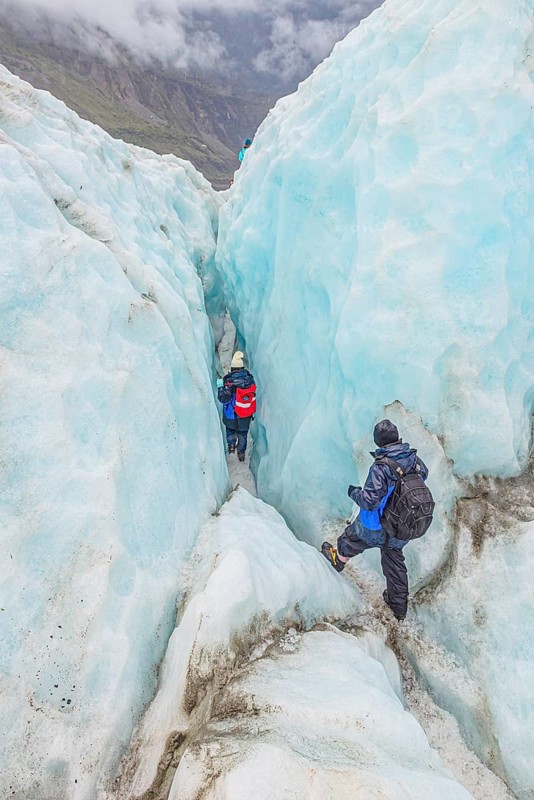 Mountaineers on glacier, Fox Glacier, Westland National Park, South Island, New Zealand