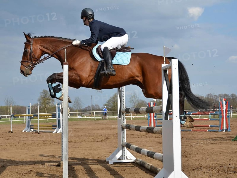 Show jumping equestrian competition in Jaroszowka, Poland