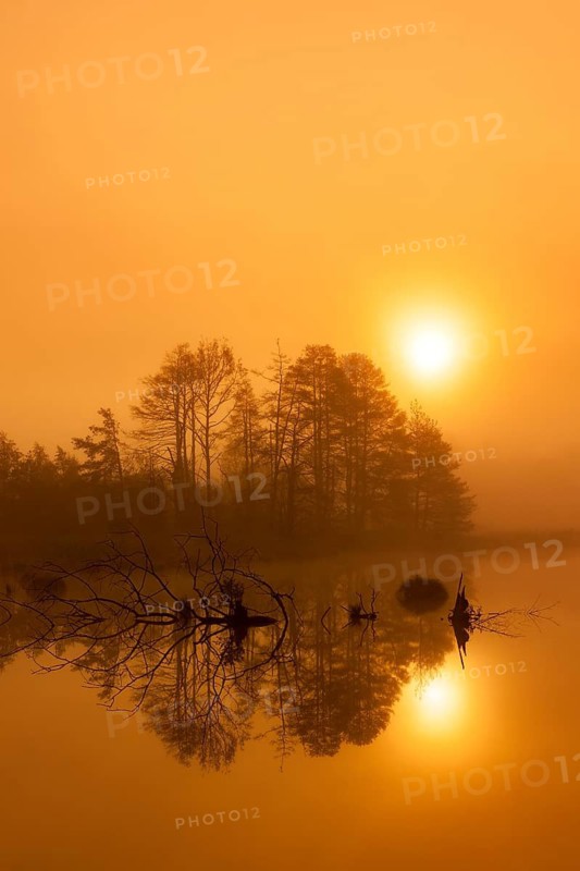 Calm lake in fog with sunset and trees in the background, Schwenninger moss, Villingen-Schwenningen, Black Forest-Baarkreis, Baden-Württemberg, Germany