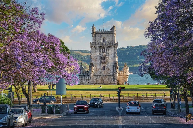 Scenic view of Belem Tower in Lisbon highlighted by blooming jacaranda trees and sailboats on the Tagus River during sunset. Belem, Lisbon, Portugal