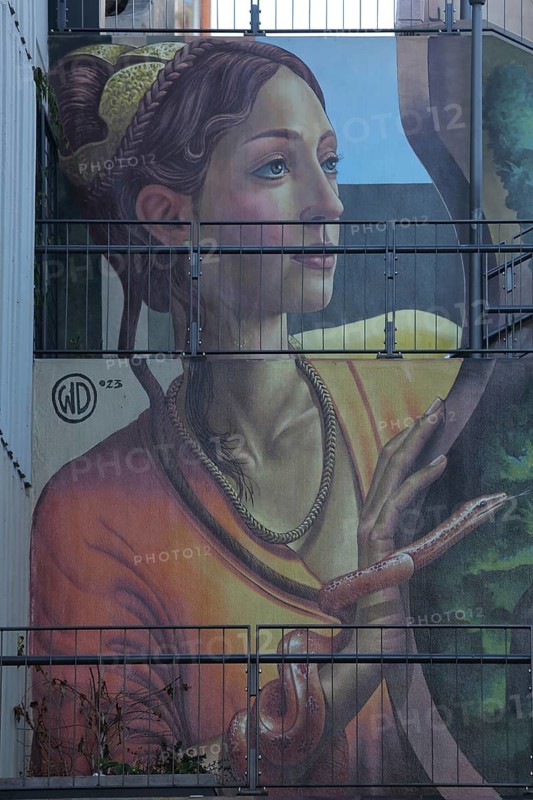 Mural Sirona by Wild Drawing WD 2023, Celtic Goddess of Healing, Greek Healing Goddess Hygieia, Hygeia, Meeting of Styles, MOS, Street Art, Graffiti, Lady, Hair, Necklace, Headdress, Snake Figure, Beauty, Old Town, Wiesbaden, Taunus, Hesse, Germany