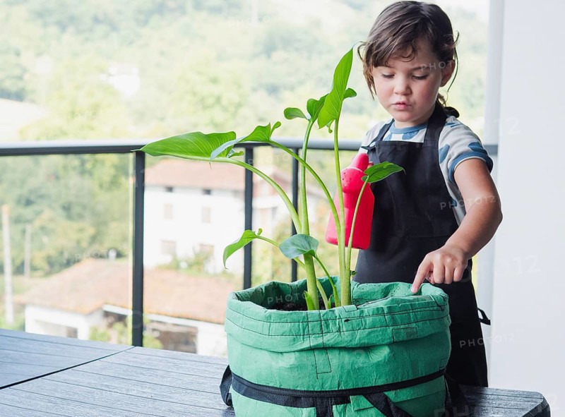 A young girl diligently cares for her growing plant in a fabric pot on a sunny balcony. She waters the green plants using a red watering can, focused and meticulous in his gardening task