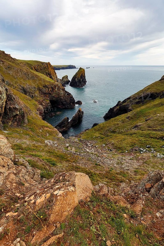 Rocky coast at Kynance Cove, cliffs, Mount's Bay, Lizard Peninsula, Cornwall, England, Great Britain