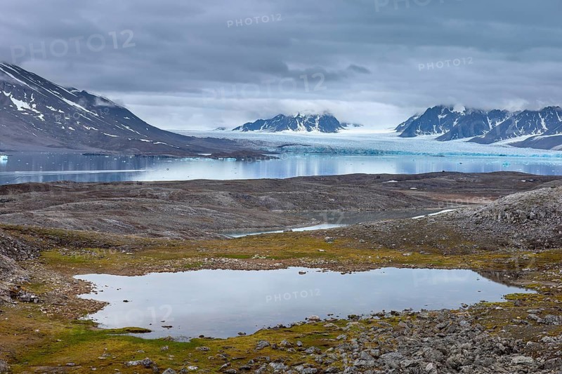 Hornbaekpollen, Hornbækpollen, small bay at Liefdefjorden, east of Erikbreen, Haakon VII Land in summer, Spitsbergen, Svalbard, Norway