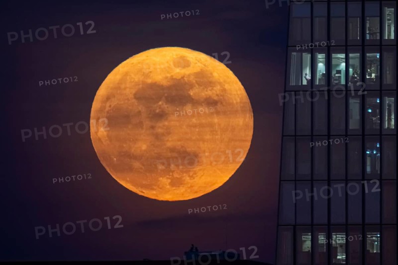 The full moon rises to the left of the European Central Bank (ECB) in Frankfurt am Main. The full moon in March is also called the worm moon because it reminds us that the frost is receding and the earth is beginning to come back to life, Frankfurt am Main, Hesse, Germany