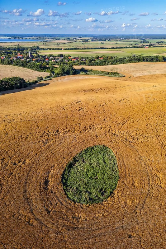 Aerial view, drone photo: Grass growing in a shallow ice hole from the ice age, surrounded by a cornfield, in the background the village of Gehren, Brohmer Berge, Mecklenburg-Western Pomerania, Germany