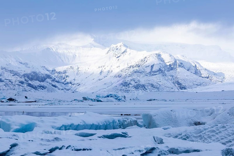Grey seal, (Halichoerus grypus), glacier lagoon, glacial lake, glacial ice, water, snow, winter, Jökulsárlón, Breiðamerkurjökull, Vatnajökull, Iceland, Scandinavia