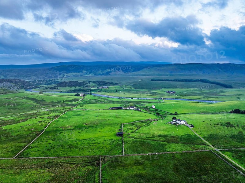 Forest in Teesdale over River Tees from a drone, North Pennines AONB, County Durham, England, United Kingdom