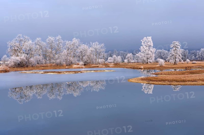 Frozen pond and trees in hoarfrost, nature reserve, Schoren, Mühlau, Freiamt, Aargau Canton, Switzerland
