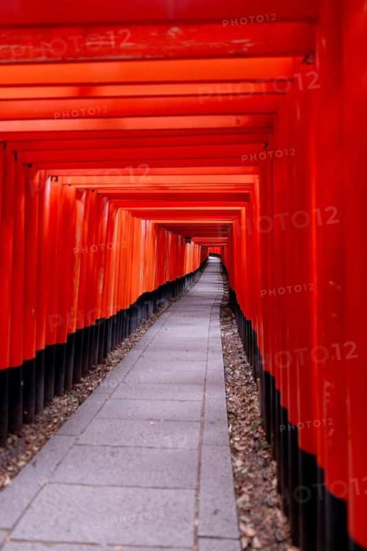 Discover the vibrant red torii gates of Fushimi Inari-taisha in Kyoto, Japan, a spiritual site renowned for its iconic pathways and cultural significance, drawing visitors worldwide