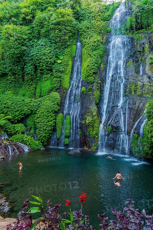 Banyumala twin waterfalls, waterfall, jungle, rainforest, water, nature, botany, holiday, paradise, bathing, swimming, landscape, tourism, travel, Bali, Indonesia
