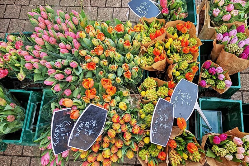 Heidelberg, Germany - 19th March 2026: Colorful spring tulip flower bouquets for sale