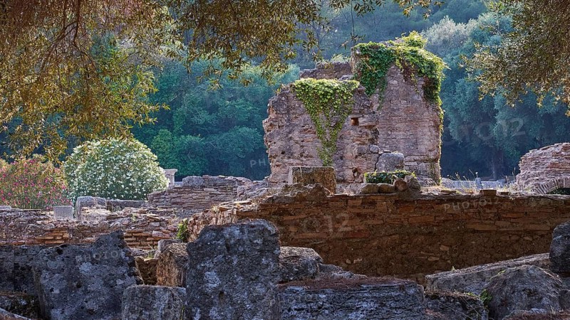 Buleuterion, Ancient ruins with overgrowing plants in front of a forest view, Archaeological Site, Ancient Olympia, Olympia, Peloponnese, Greece